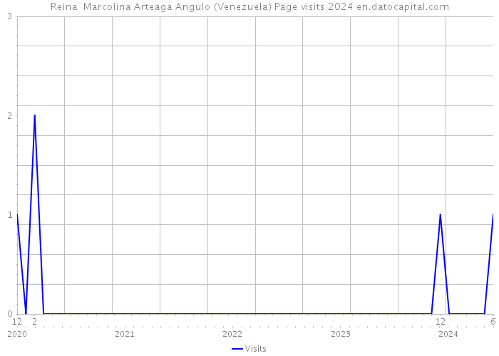 Reina Marcolina Arteaga Angulo (Venezuela) Page visits 2024 