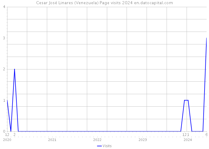 Cesar José Linares (Venezuela) Page visits 2024 