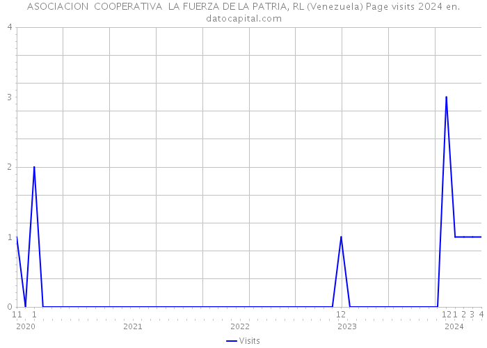 ASOCIACION COOPERATIVA LA FUERZA DE LA PATRIA, RL (Venezuela) Page visits 2024 