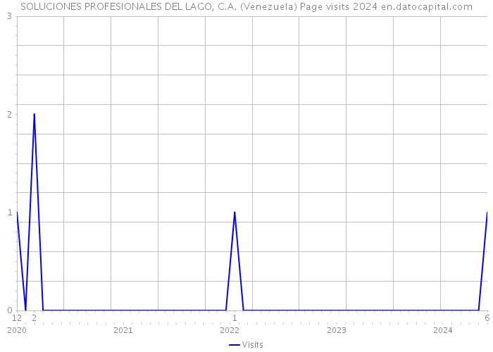 SOLUCIONES PROFESIONALES DEL LAGO, C.A. (Venezuela) Page visits 2024 
