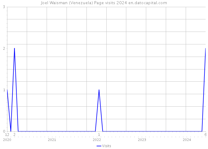Joel Waisman (Venezuela) Page visits 2024 