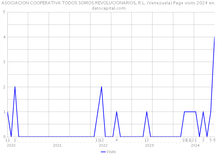 ASOCIACION COOPERATIVA TODOS SOMOS REVOLUCIONARIOS, R.L. (Venezuela) Page visits 2024 