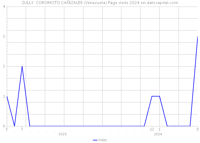 ZULLY COROMOTO CAÑIZALES (Venezuela) Page visits 2024 