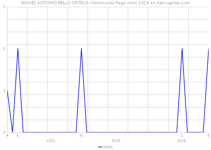 MISAEL ANTONIO BELLO ORTEGA (Venezuela) Page visits 2024 