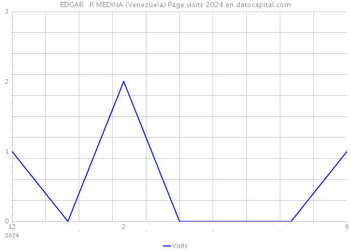 EDGAR R MEDINA (Venezuela) Page visits 2024 