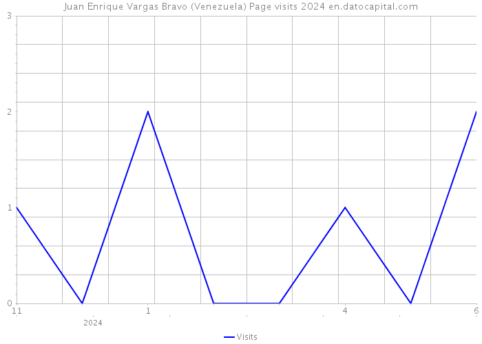 Juan Enrique Vargas Bravo (Venezuela) Page visits 2024 