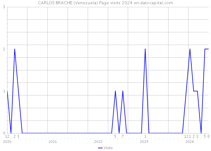 CARLOS BRACHE (Venezuela) Page visits 2024 