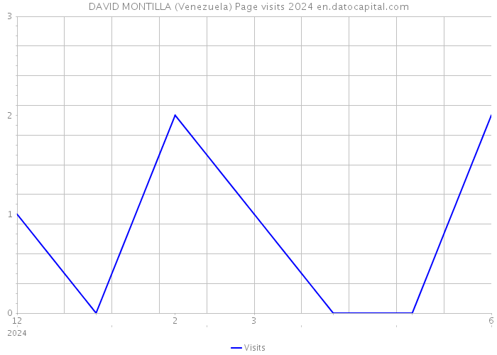 DAVID MONTILLA (Venezuela) Page visits 2024 