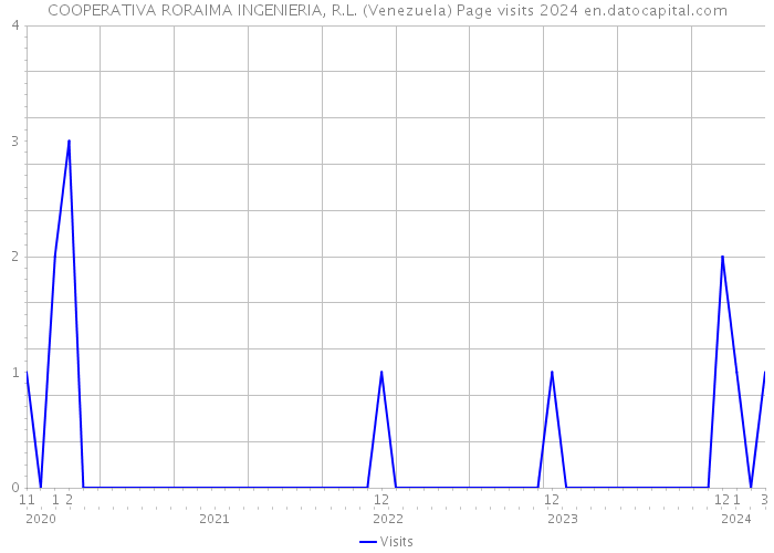 COOPERATIVA RORAIMA INGENIERIA, R.L. (Venezuela) Page visits 2024 