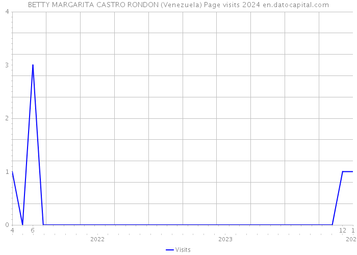 BETTY MARGARITA CASTRO RONDON (Venezuela) Page visits 2024 