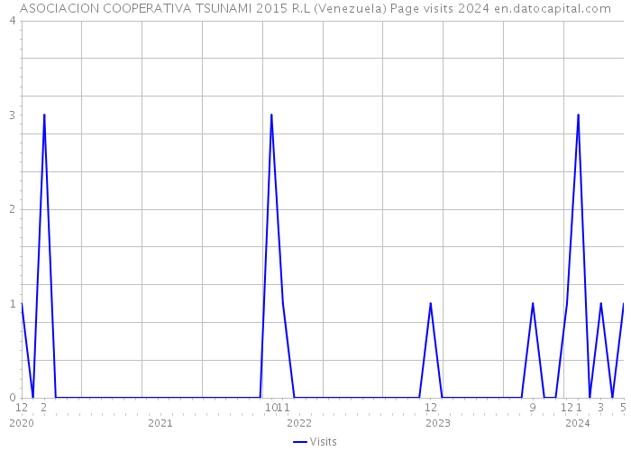 ASOCIACION COOPERATIVA TSUNAMI 2015 R.L (Venezuela) Page visits 2024 