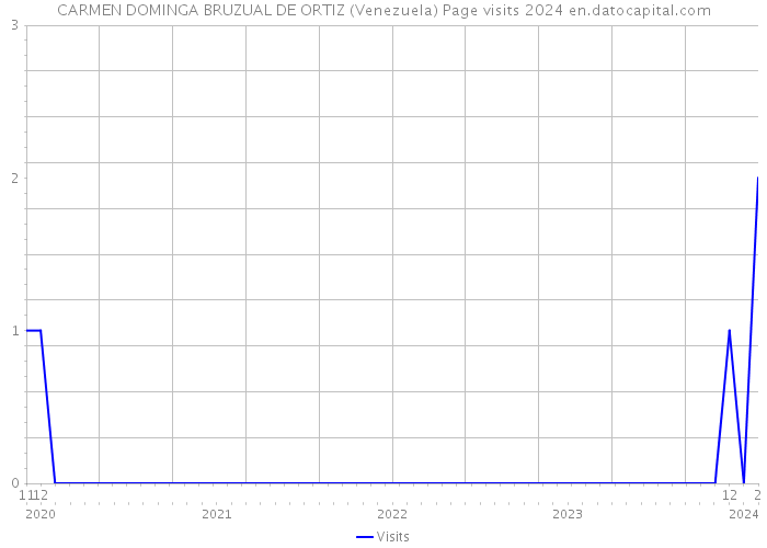 CARMEN DOMINGA BRUZUAL DE ORTIZ (Venezuela) Page visits 2024 