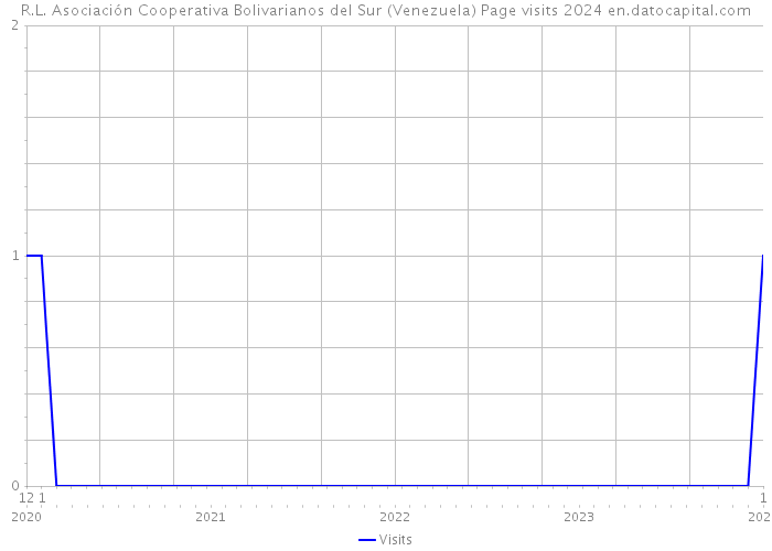 R.L. Asociación Cooperativa Bolivarianos del Sur (Venezuela) Page visits 2024 