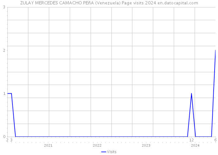 ZULAY MERCEDES CAMACHO PEñA (Venezuela) Page visits 2024 