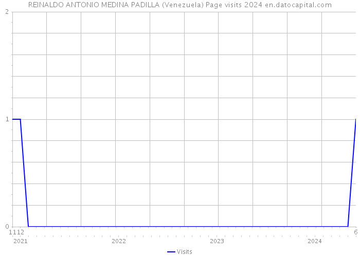 REINALDO ANTONIO MEDINA PADILLA (Venezuela) Page visits 2024 