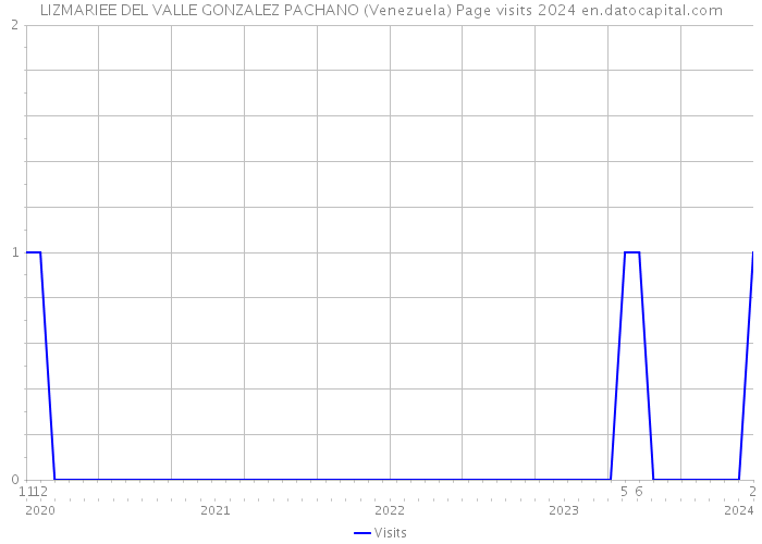 LIZMARIEE DEL VALLE GONZALEZ PACHANO (Venezuela) Page visits 2024 