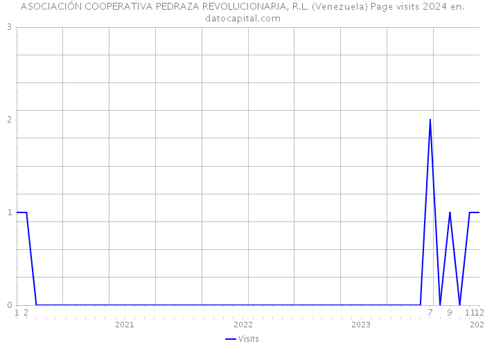ASOCIACIÓN COOPERATIVA PEDRAZA REVOLUCIONARIA, R.L. (Venezuela) Page visits 2024 