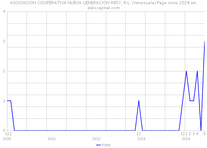 ASOCIACION COOPERATIVA NUEVA GENERACION 4857, R.L. (Venezuela) Page visits 2024 