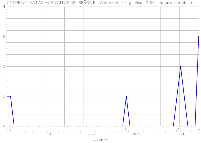 COOPERATIVA LAS MARAVILLAS DEL SEÑOR R.L (Venezuela) Page visits 2024 