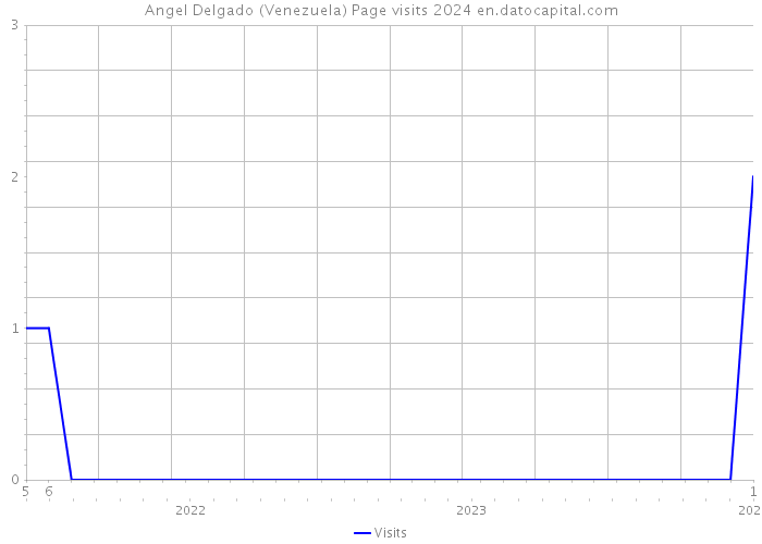 Angel Delgado (Venezuela) Page visits 2024 