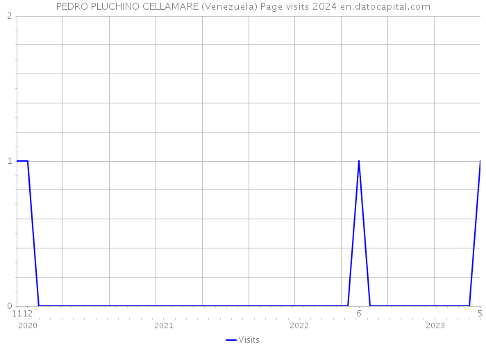 PEDRO PLUCHINO CELLAMARE (Venezuela) Page visits 2024 