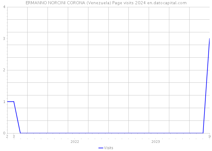 ERMANNO NORCINI CORONA (Venezuela) Page visits 2024 
