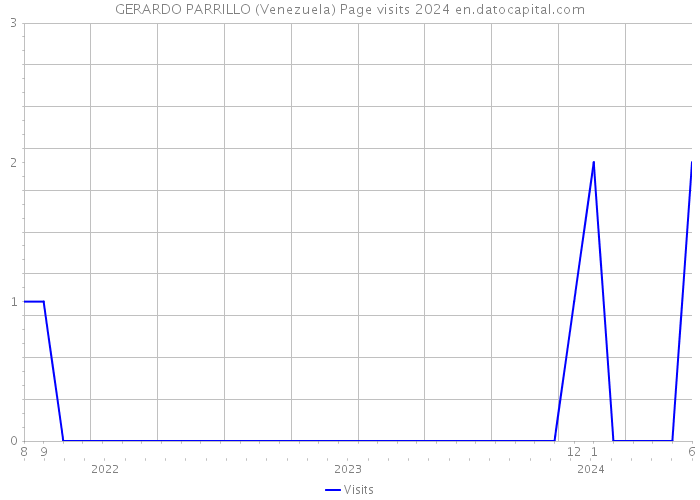 GERARDO PARRILLO (Venezuela) Page visits 2024 
