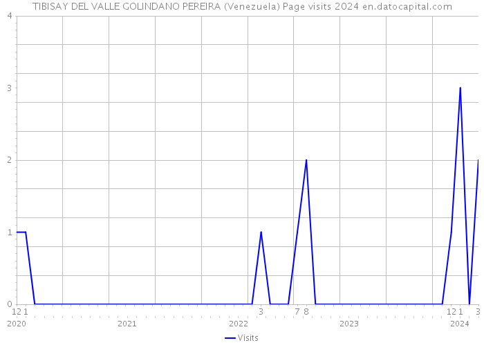 TIBISAY DEL VALLE GOLINDANO PEREIRA (Venezuela) Page visits 2024 