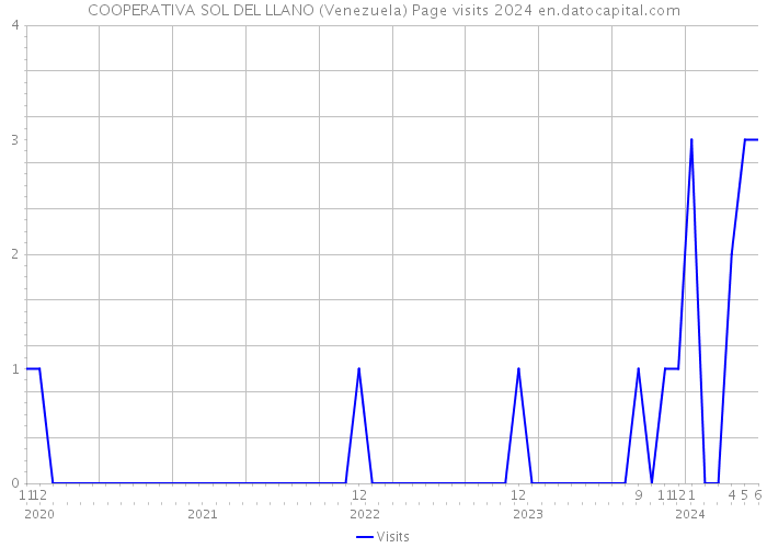 COOPERATIVA SOL DEL LLANO (Venezuela) Page visits 2024 
