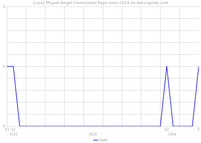 Lopez Miguel Angel (Venezuela) Page visits 2024 