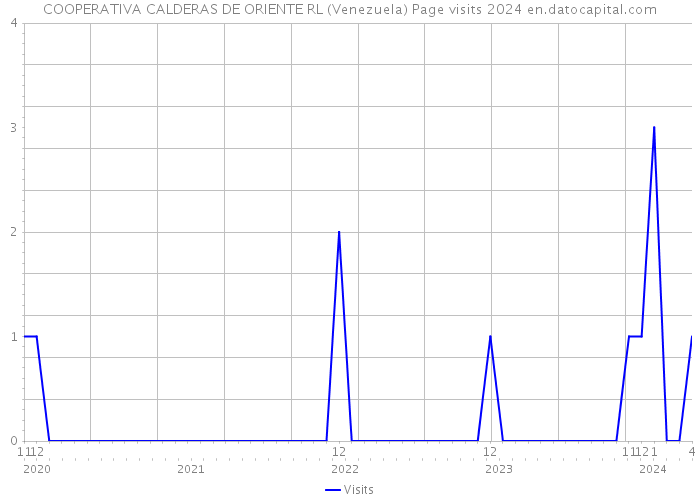 COOPERATIVA CALDERAS DE ORIENTE RL (Venezuela) Page visits 2024 