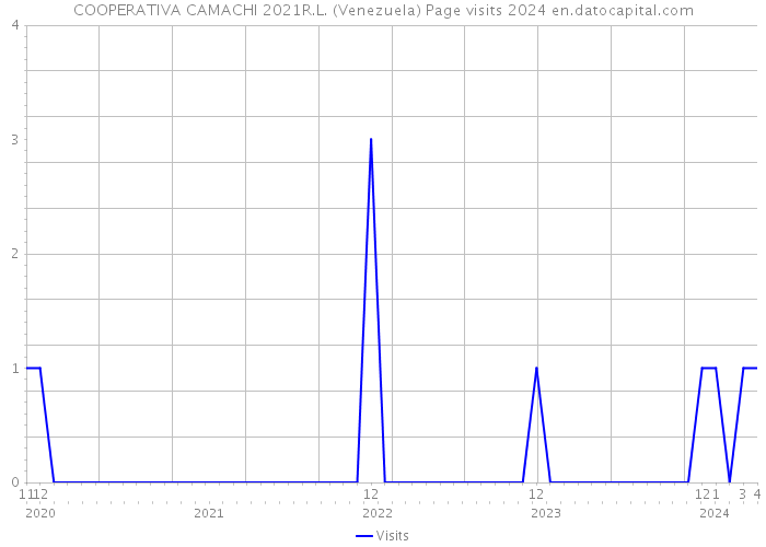 COOPERATIVA CAMACHI 2021R.L. (Venezuela) Page visits 2024 