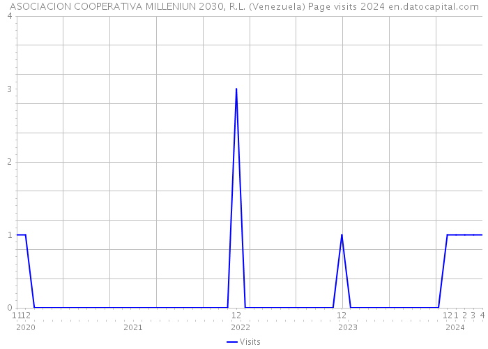 ASOCIACION COOPERATIVA MILLENIUN 2030, R.L. (Venezuela) Page visits 2024 