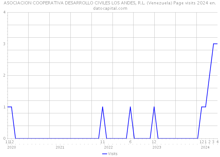 ASOCIACION COOPERATIVA DESARROLLO CIVILES LOS ANDES, R.L. (Venezuela) Page visits 2024 