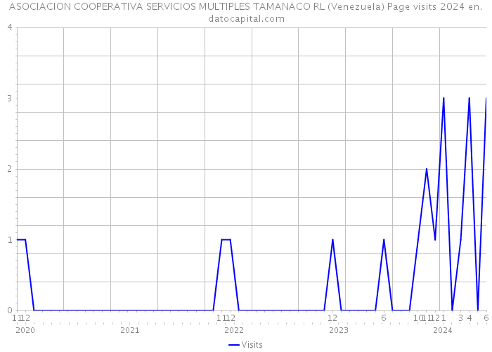 ASOCIACION COOPERATIVA SERVICIOS MULTIPLES TAMANACO RL (Venezuela) Page visits 2024 
