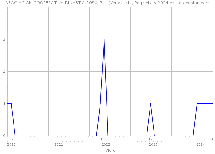 ASOCIACION COOPERATIVA DINASTIA 2030, R.L. (Venezuela) Page visits 2024 
