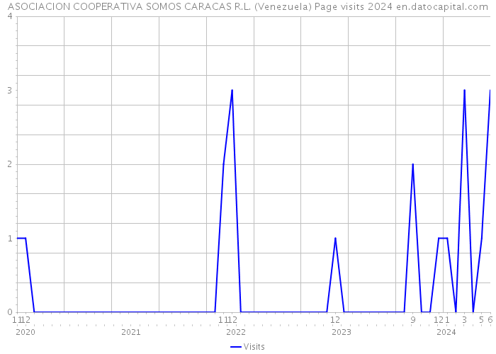 ASOCIACION COOPERATIVA SOMOS CARACAS R.L. (Venezuela) Page visits 2024 