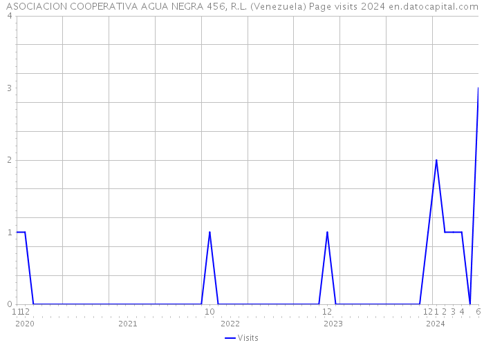 ASOCIACION COOPERATIVA AGUA NEGRA 456, R.L. (Venezuela) Page visits 2024 