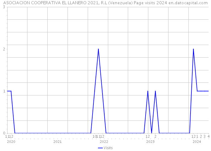ASOCIACION COOPERATIVA EL LLANERO 2021, R.L (Venezuela) Page visits 2024 