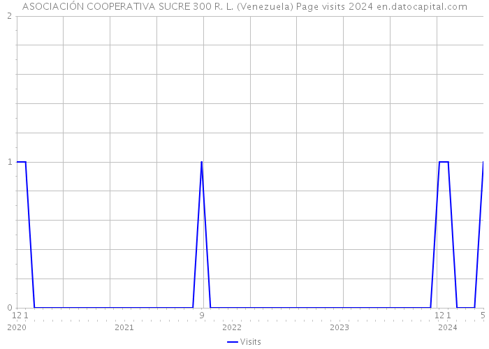 ASOCIACIÓN COOPERATIVA SUCRE 300 R. L. (Venezuela) Page visits 2024 