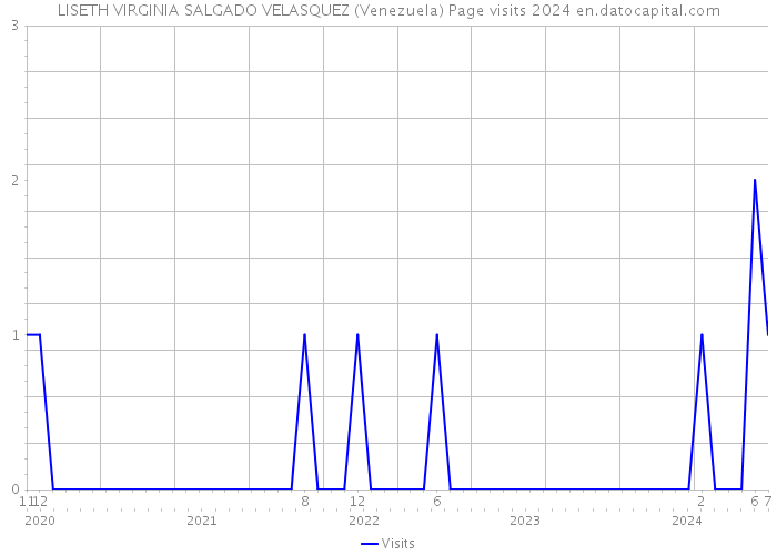 LISETH VIRGINIA SALGADO VELASQUEZ (Venezuela) Page visits 2024 
