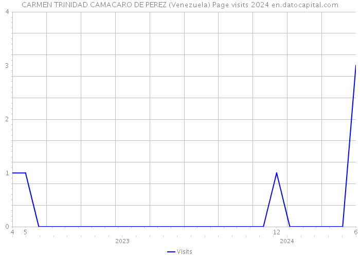 CARMEN TRINIDAD CAMACARO DE PEREZ (Venezuela) Page visits 2024 