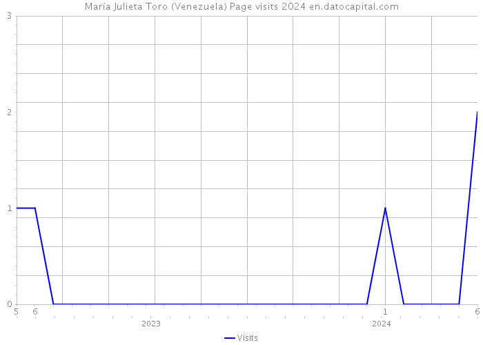 María Julieta Toro (Venezuela) Page visits 2024 