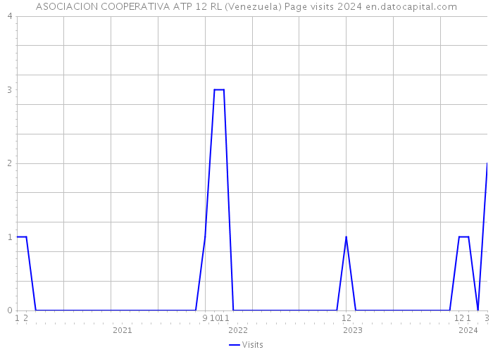 ASOCIACION COOPERATIVA ATP 12 RL (Venezuela) Page visits 2024 
