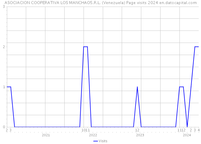 ASOCIACION COOPERATIVA LOS MANCHAO5.R.L. (Venezuela) Page visits 2024 