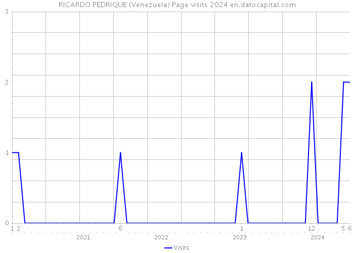 RICARDO PEDRIQUE (Venezuela) Page visits 2024 