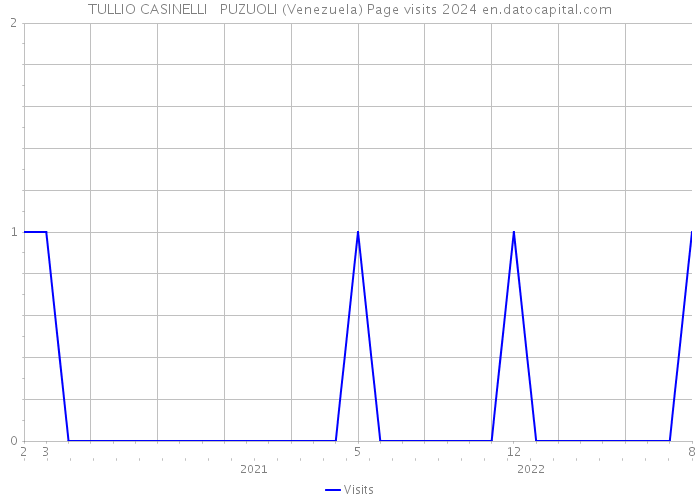 TULLIO CASINELLI PUZUOLI (Venezuela) Page visits 2024 
