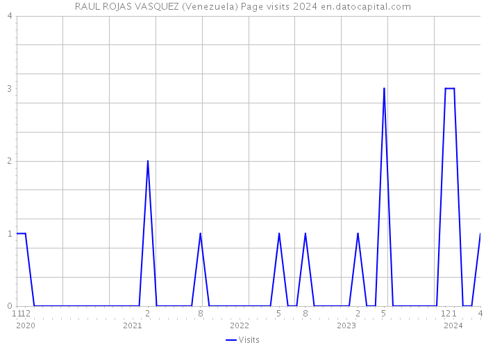 RAUL ROJAS VASQUEZ (Venezuela) Page visits 2024 