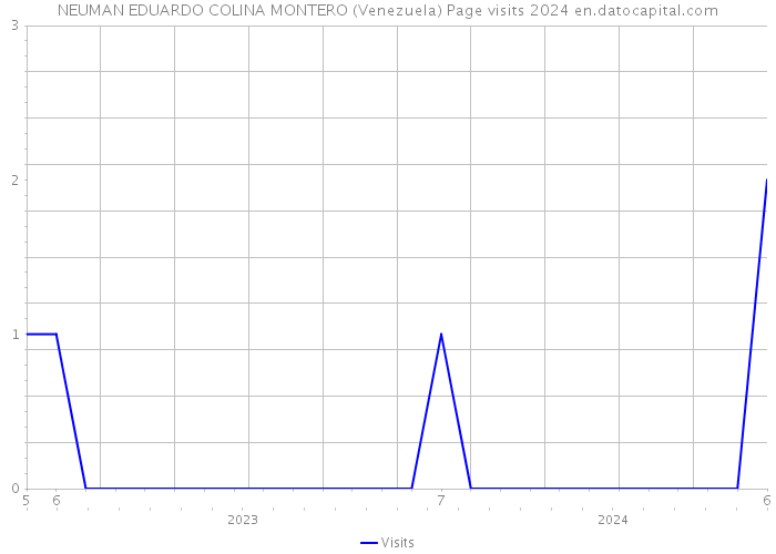 NEUMAN EDUARDO COLINA MONTERO (Venezuela) Page visits 2024 