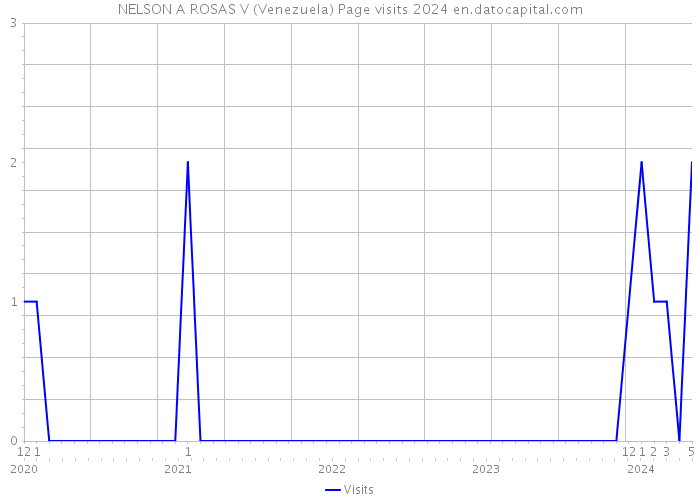 NELSON A ROSAS V (Venezuela) Page visits 2024 